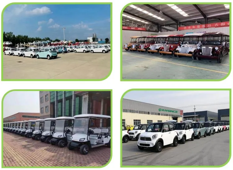China Factory Directly Supply Cheap Price Electric Vehicle Low Speed Three Wheel Electric Car with EEC