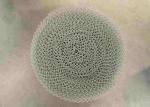 Winding Tech Wire Mesh Demister