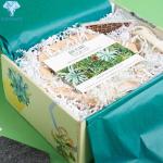 5 Ply Portable Corrugated Banana Size Fruit Shipping Boxes