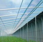 Customized Request Origin Double Arch Beam Greenhouse for Vegetables 20GP/40GP