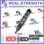 Original Common Rail Disesl Injector for Engine Parts 04290987 4290988