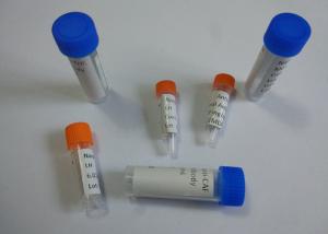 Quality Purified Anti-Benzoylecgonine Mouse Mono Clonal Antibody Liquid wholesale