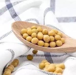 Quality Textile Soybean Protein Fiber 1.5D 38MM For Spinning Or Filling Quilt wholesale