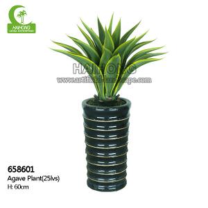 Quality Aesthetic H60cm Artificial Succulent Plant For Home Decoration wholesale