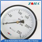 200mm 250mm Bottom Mounting General pressure gauge