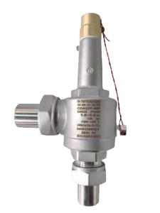Quality Industry DN25 PN40 Cryogenic Safety Valve Stainless Steel 304 316 For LNG LO2 LN2 wholesale