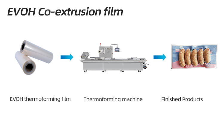 PA EVOH PE Multilayer Film Co Extrusion High Barrier Vacuuum Seal Thermoforming Film For Food