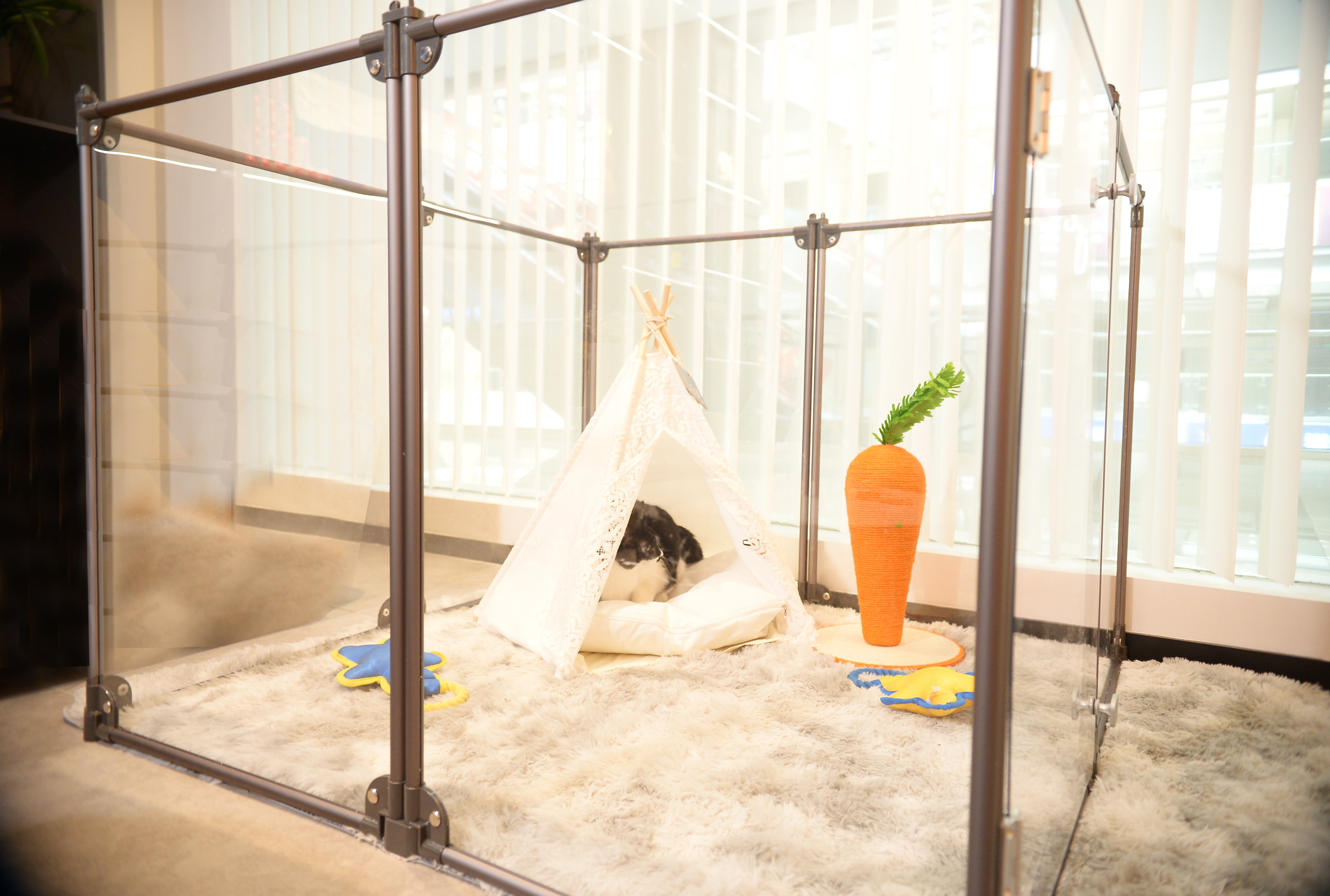 Foldable Metal Pet Fence Indoor Clear Acrylic Playpen For Animals