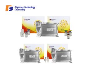 Quality 2 Hours Assay Time CATHL1 ELISA Assay Kit / Human Cathelicidin-1 Sandwich ELISA Kit wholesale