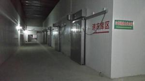 Quality PU Sandwich Panel Prefabricated Cold Room Pre Cooling Door Type Sectional wholesale