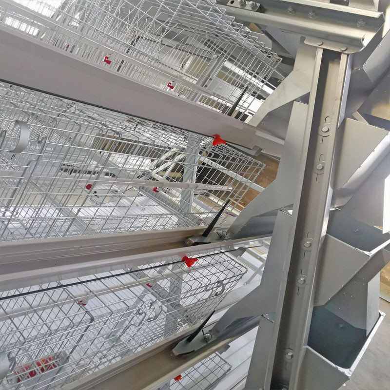 Full Automatic Manure Cleaning System Baby Chick Cage