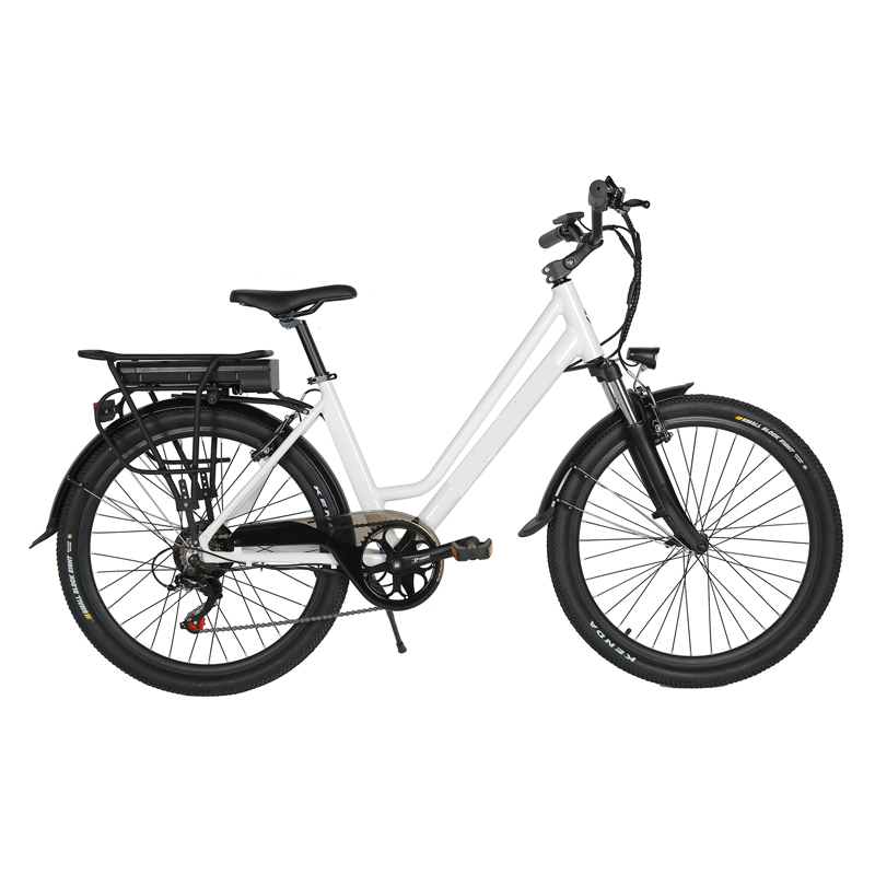 7 Speed Gears and Torque of 30-50 Nm Electric City Bicycle for Man at Affordable
