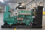 10kw 50kw 100kw 200kw CNG LNG LPG Genset with ATS