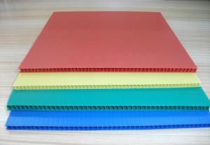 Quality Degradable Hollow SGS Twin Wall Polypropylene Sheet 250g/Sqm wholesale