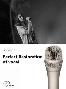 Party 65dB SNR wired Condenser Microphone With Sound Card CE ROHS