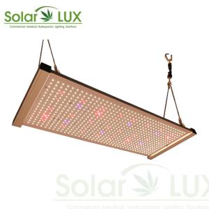 China RJ12 Dimming 320W Quantum Board Panel LED Grow Light on sale
