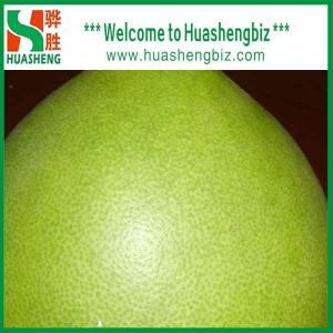 Quality Top Quality Honey Pomelo wholesale