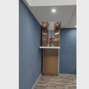 Quality More Economic Naked Cabin Hydraulic Home Elevator 0.25 M/S Speed wholesale