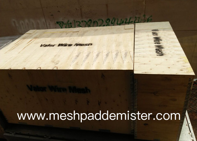 Steam Boiler Take Wire Mesh Demister