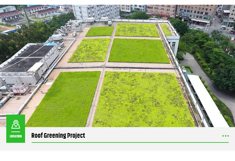 Seed Plant Tray for Everyday Season and Flower/Green Plant in Rooftop Decoration