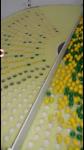 Softgel Capsule Inspection Counting And Packing Machine 1 Year Warranty