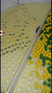 Quality Softgel Capsule Inspection Counting And Packing Machine 1 Year Warranty wholesale