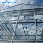 Heavy Duty Gaivalnized Steel Pipe Glass Multi Span Greenhouses Venlo Type