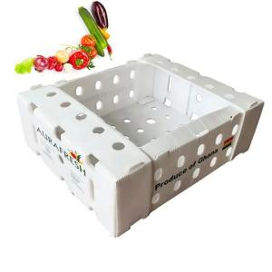 Quality PP Corrugated Plastic Box Coroplast Fruit Packaging Box Customized Foldable wholesale