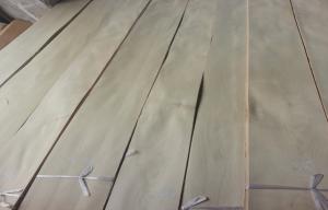 Quality AA Grade Bleached / White Birch Wood Veneer Rotary Cut Constructional wholesale