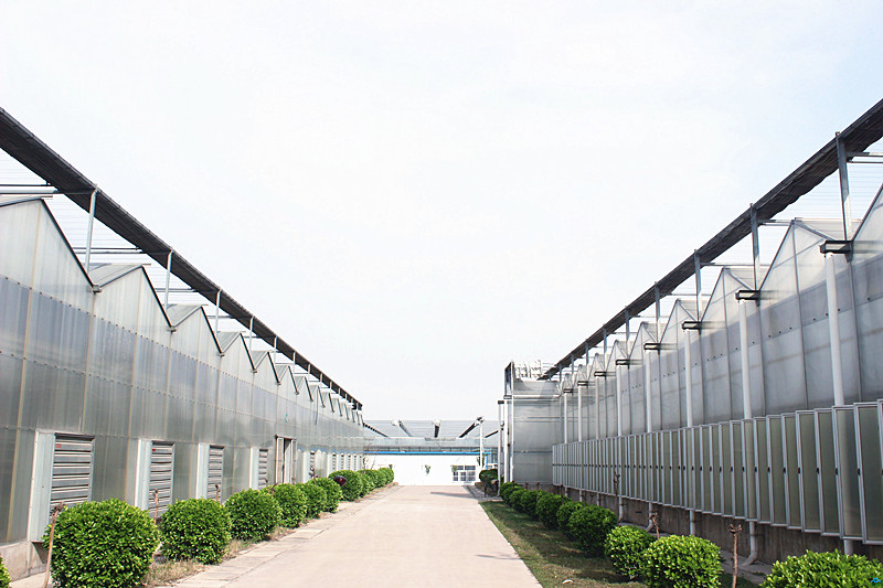 Stable Structure Galvanized Steel Greenhouse Single / Double Layer Available