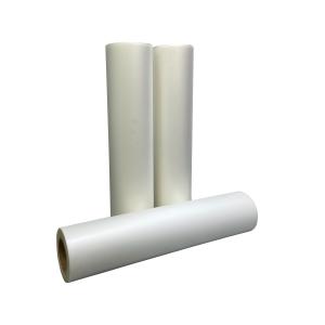 Quality Pet Film Heat Transfer Paper Clothing 24 Inch A1 DTF Printer With Double/Single Side White Ink wholesale
