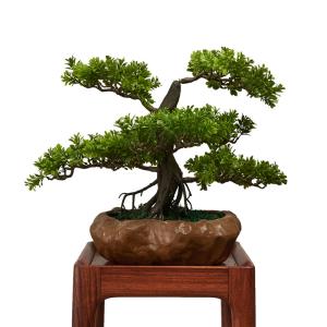 Quality OEM High Imitation Artificial Landscape Trees For Airports wholesale