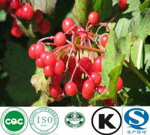 Quality Natural Factory Supply Cranberry Extract wholesale
