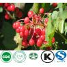 Buy cheap Natural Factory Supply Cranberry Extract from wholesalers
