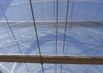 Fruits Flower 8m Single Span PE Plastic Film Greenhouse