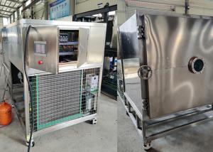 Quality Large Capacity 300kg Food Vacuum Freeze Dryer Machine wholesale