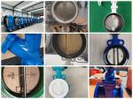 BS EN10092-2 DI ductile iron cf8m ss316 china pn16 double flanged butterfly