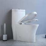 Siphonic Round American Standard One Piece Dual Flush Toilet Elongated Bowl