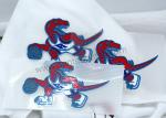 OEKO Dinosaur 15S Heat Press Clothing Labels Hot Melt Glue