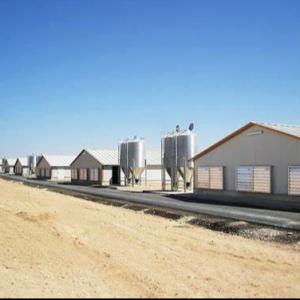 Quality Quick Assembly Lightweight Steel Frame Chicken House Weather Resistant wholesale