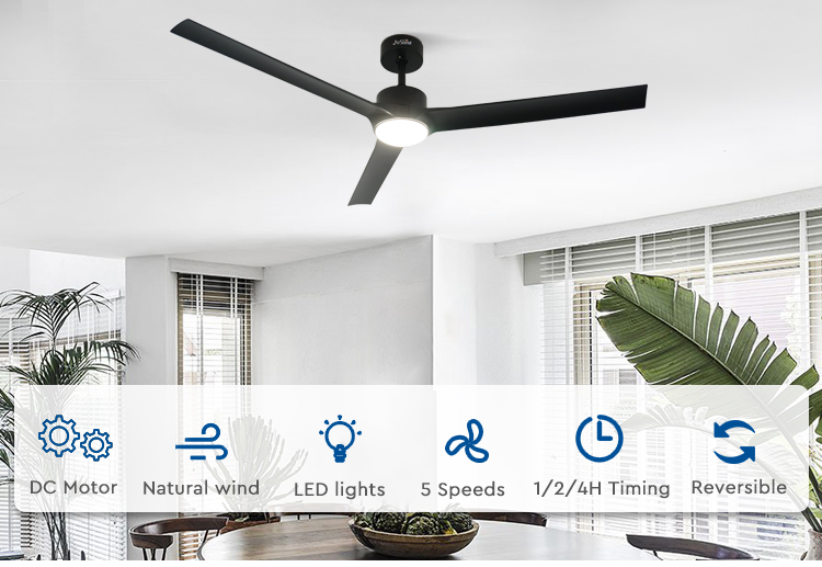 ceiling fan
