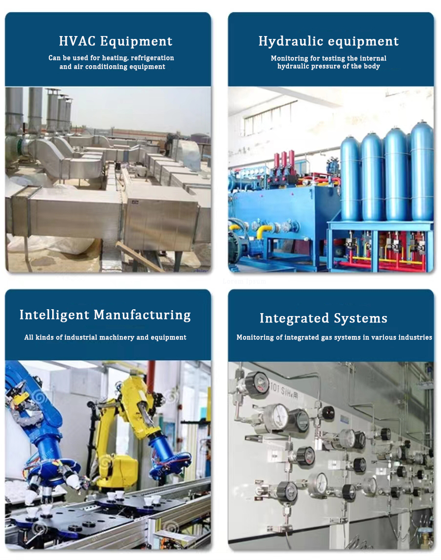 Stainless Steel Secondary Gas Regulator Low Pressure 2.5MPa With Panel / Ball Valves