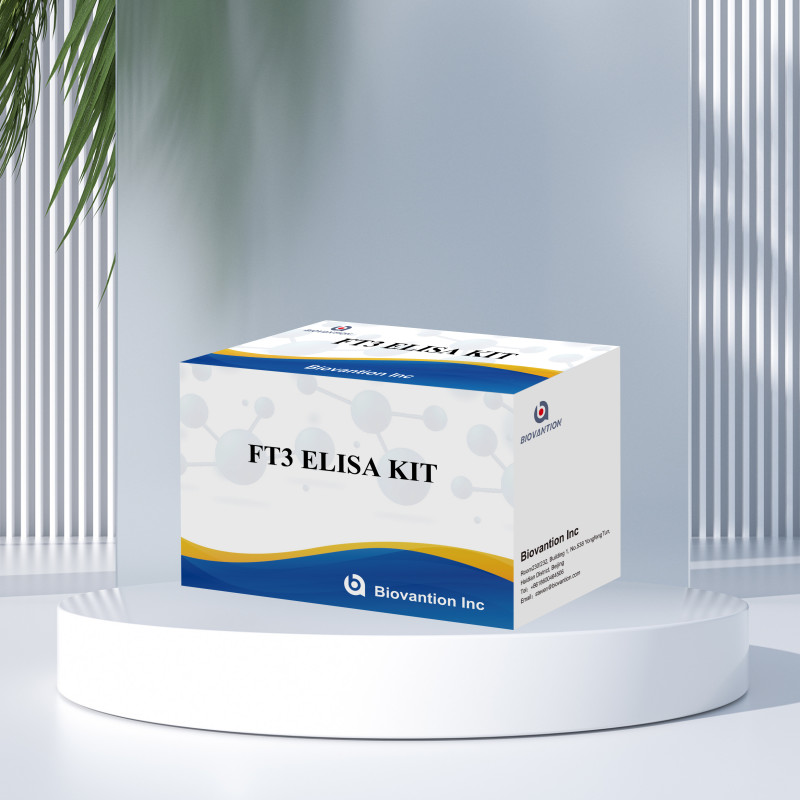 FT3 Free Triiodothyronine For Human Diagnostic Reagent Kits With 96T ELISA Test For Clinic Hospital Lab