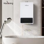 Kitchen / Balcony Forced Exhaust Gas Water Heater With Electric Ignition And