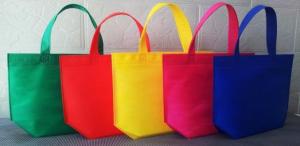 Quality Eco-friendly Colorful Shopping non woven Bag wholesale