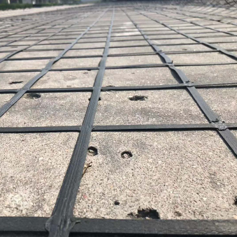 Highway PP PE Embankment Abutments Designed with Modern Style Steel Plastic Geogrid
