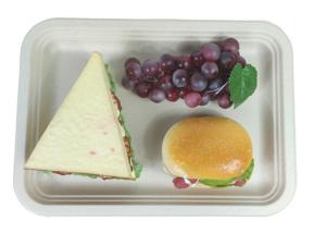 Quality Rectangle Biodegradable Food Trays wholesale