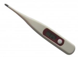 Quality Digital Pen Thermometer for medical household wholesale