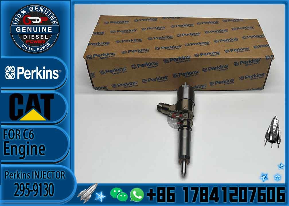 Excavator Parts CAT E 320D 321D 323D C6.4 Engine injector 32F61-00062 295-9130 326-4700