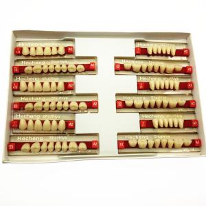 Quality Dental Materials Multi Layer Synthetic Dental Resin Dentures Teeth FDA wholesale